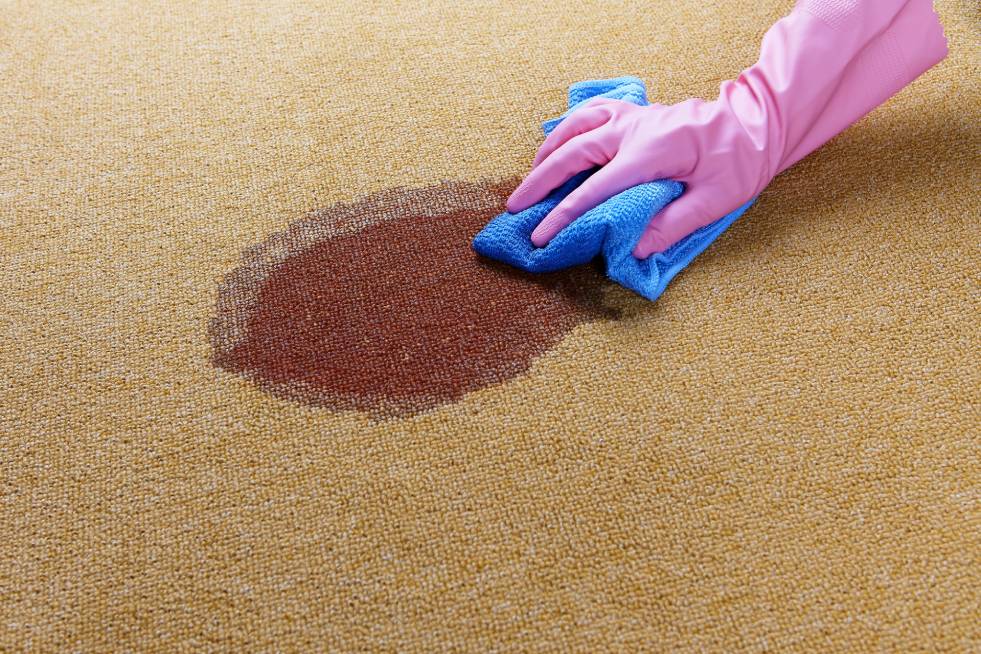 Carpet Cleaning Solutions